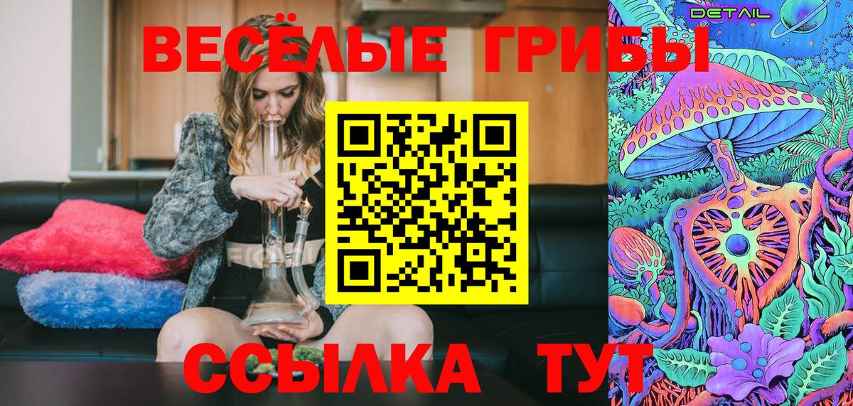 Златоуст  Галлюциногенные грибы Psilocybe  Вход с VPN 